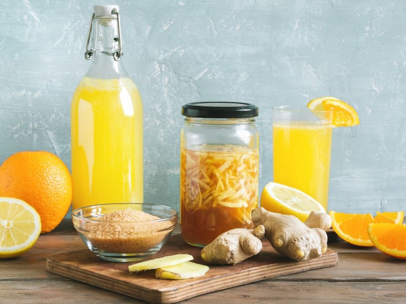 Preparación de ginger bug: un frasco con ginger bug, así como ginger beer e ingredientes.